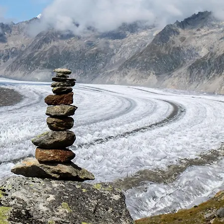 Alphuette Bielerchaeller Fiesch