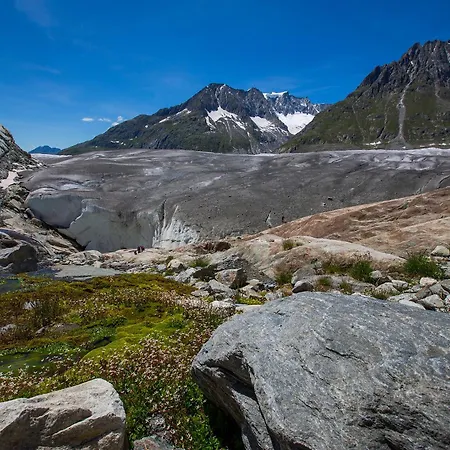 Alphütte Bielerchäller