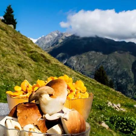 Alphuette Bielerchaeller * Fiesch