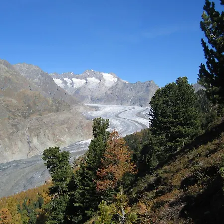 Alphuette Bielerchaeller Chalé Fiesch