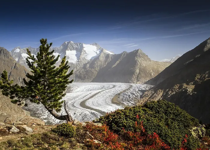 Alphuette Bielerchaeller Horská chata