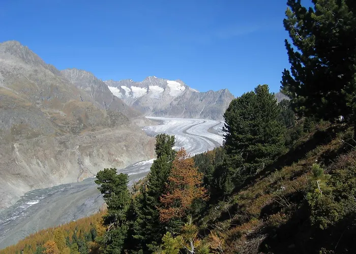 Alphuette Bielerchaeller Horská chata Fiesch