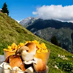 Alphuette Bielerchaeller * Fiesch